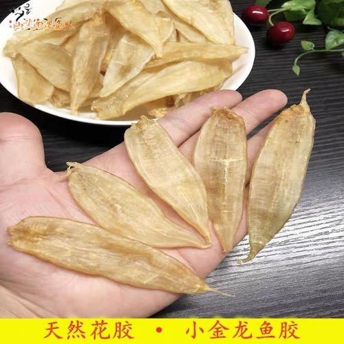 南美小金龍魚膠有哪些品牌推薦（南美小金龍魚膠十大品牌品牌品牌排名南美小金龍魚膠）