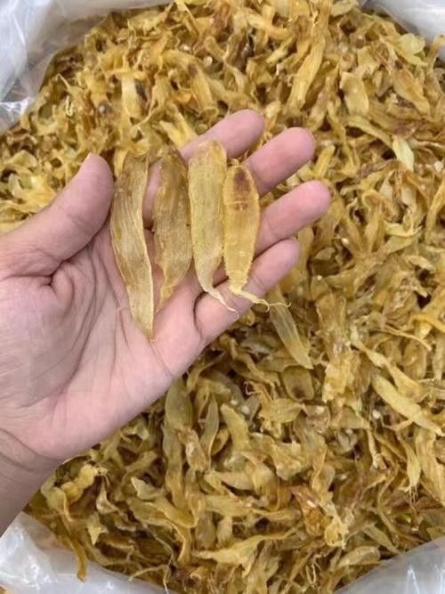 南美小金龍魚膠有哪些品牌推薦（南美小金龍魚膠十大品牌品牌品牌排名南美小金龍魚膠）