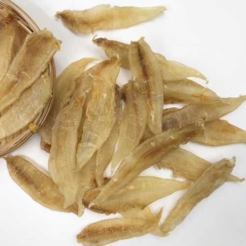 南美小金龍魚膠有哪些品牌推薦（南美小金龍魚膠十大品牌品牌品牌排名南美小金龍魚膠）