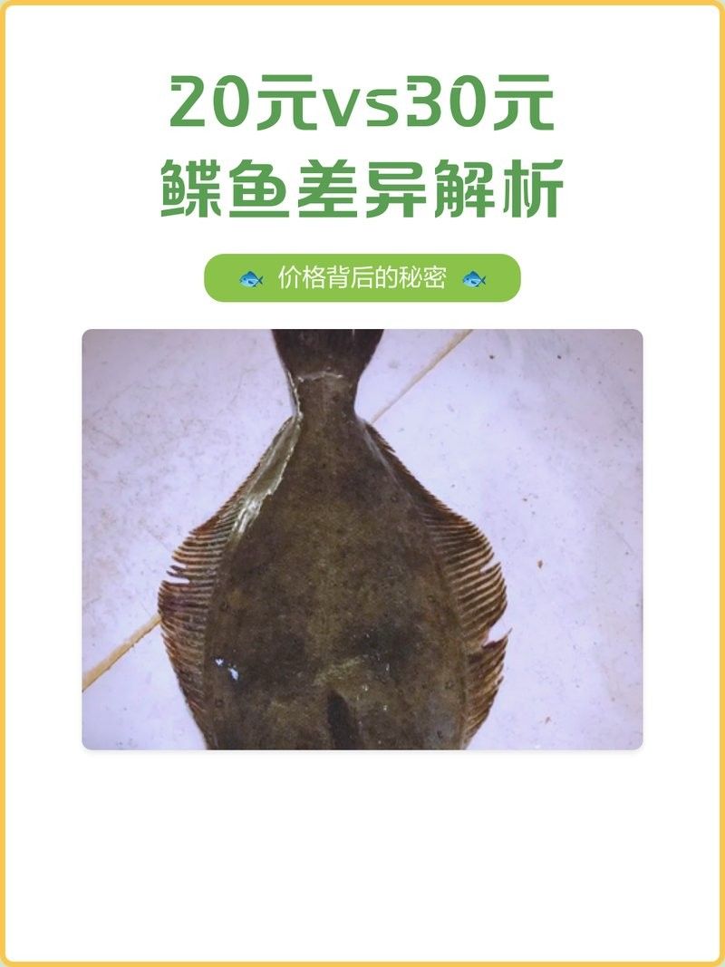 20元一斤鰈魚和30元一斤區別（20元一斤的鰈魚和30元一斤區別）