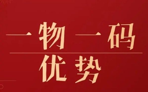 金龍裝飾有哪些防偽技術(shù)（金龍裝飾的防偽技術(shù)）