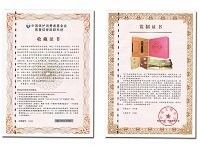 金龍裝飾有哪些防偽技術(shù)（金龍裝飾的防偽技術(shù)）
