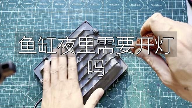 魚缸夜燈會影響魚休息嗎（魚缸夜燈會影響魚的休息嗎） 魚缸夜燈會影響魚休息嗎（魚缸夜燈會影響魚的休息嗎） 觀賞魚百科 第2張