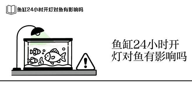 魚缸夜燈會影響魚休息嗎（魚缸夜燈會影響魚的休息嗎） 魚缸夜燈會影響魚休息嗎（魚缸夜燈會影響魚的休息嗎） 觀賞魚百科 第4張