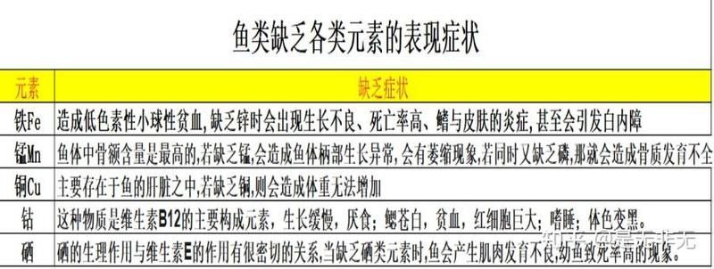 紅龍魚需要哪些微量元素（新手養龍魚怎么養出好發色干貨分享紅龍魚怎么養出好發色） 紅龍魚需要哪些微量元素（新手養龍魚怎么養出好發色干貨分享紅龍魚怎么養出好發色） 龍魚百科 第2張