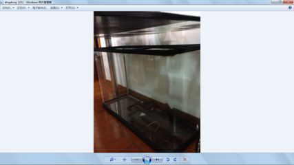 魚缸 六角恐龍魚常見疾病及防治(六角恐龍魚常見疾病是什么,如何預(yù)防六角恐龍魚的疾病) 觀賞魚百科 六角恐龍魚常見疾病及防治(六角恐龍魚常見疾病是什么,如何預(yù)防六角恐龍魚的疾病) 六角恐龍魚常見疾病及防治(六角恐龍魚常見疾病是什么,如何預(yù)防六角恐龍魚的疾病) 觀賞魚百科