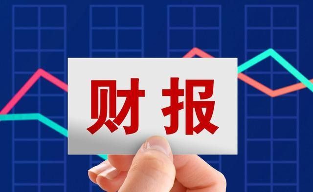 金龍魚股份的財務狀況如何