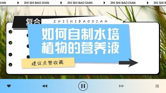 龍魚(yú)缸植物施肥頻率（龍魚(yú)缸中植物的施肥頻率需根據(jù)植物類型、生長(zhǎng)階段及水質(zhì)條件綜合調(diào)整）