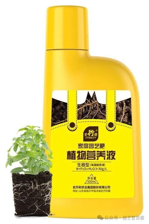 龍魚(yú)缸植物施肥頻率（龍魚(yú)缸中植物的施肥頻率需根據(jù)植物類型、生長(zhǎng)階段及水質(zhì)條件綜合調(diào)整）