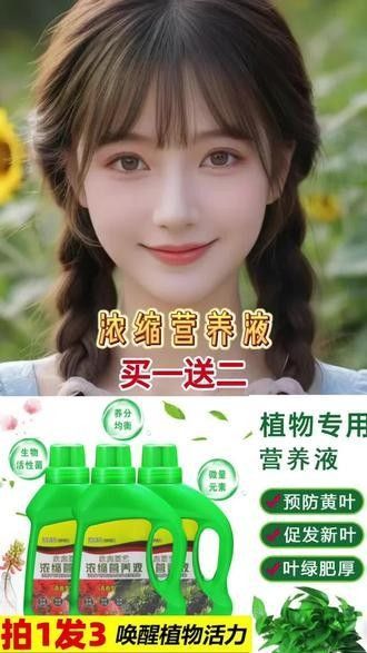 龍魚缸植物施肥頻率（龍魚缸中植物的施肥頻率需根據植物類型、生長階段及水質條件綜合調整）