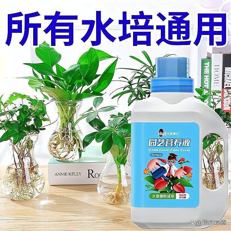 龍魚缸植物施肥頻率（龍魚缸中植物的施肥頻率需根據植物類型、生長階段及水質條件綜合調整）