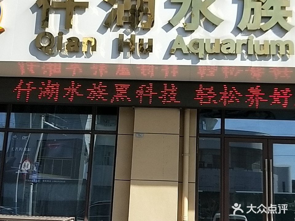如皋哪個水族館龍魚好？祥龍魚場龍魚（如皋市祥龍魚場） 如皋哪個水族館龍魚好？祥龍魚場龍魚（如皋市祥龍魚場） 龍魚百科 第8張