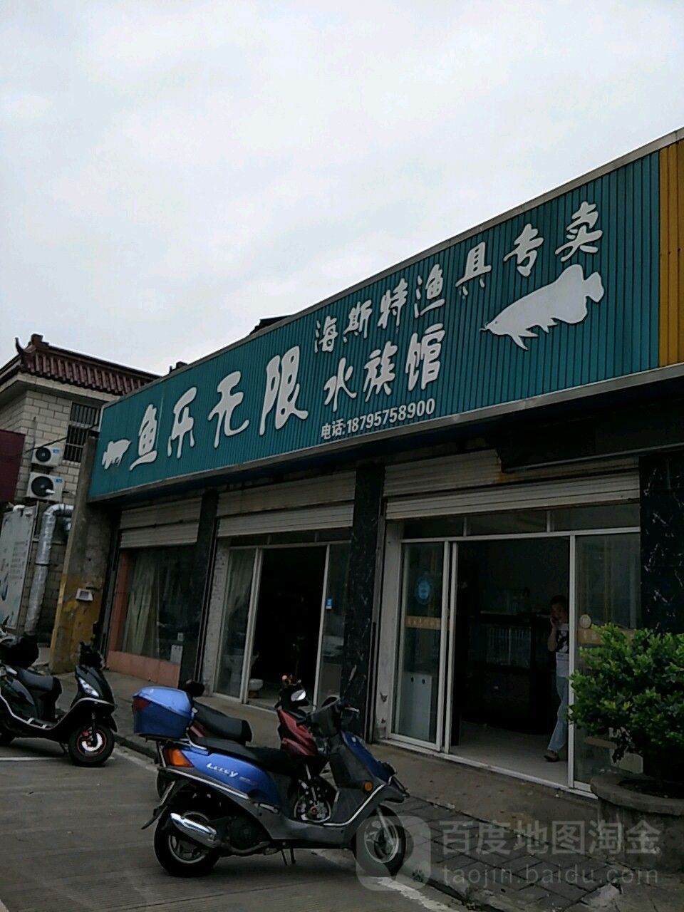 如皋哪個水族館龍魚好？祥龍魚場龍魚（如皋市祥龍魚場） 如皋哪個水族館龍魚好？祥龍魚場龍魚（如皋市祥龍魚場） 龍魚百科 第9張