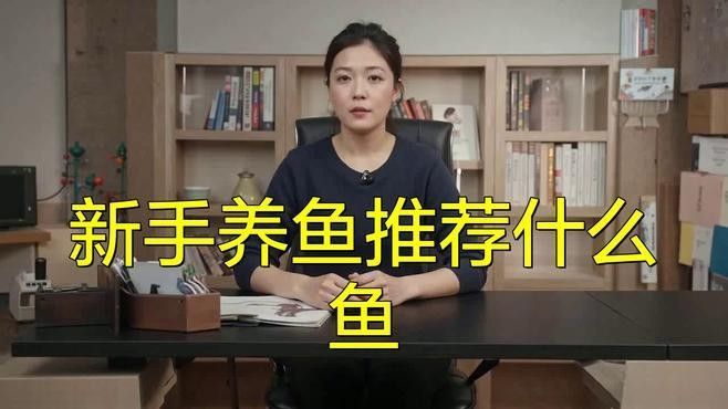 鈷藍(lán)雷龍魚(yú)適合新手嗎？（新手養(yǎng)魚(yú)不踩坑鈷藍(lán)雷龍魚(yú)怎么養(yǎng)超全攻略分享）
