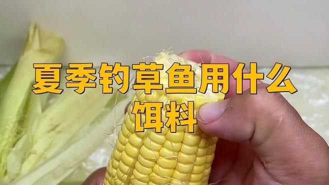 有沒有釣草魚的經(jīng)典配方？（夏季草魚餌料配方）