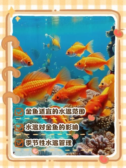 如何預防金龍魚變白？（金龍魚養(yǎng)久了為什么會變白）