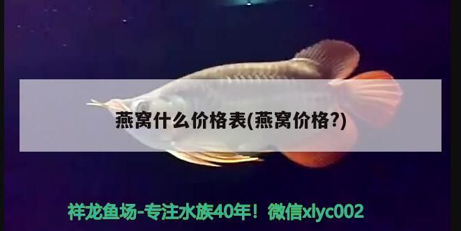 雷龍魚的品種及價格(雷龍魚品種大全) 觀賞魚百科 第1張 雷龍魚的品種及價格(雷龍魚品種大全) 雷龍魚的品種及價格(雷龍魚品種大全) 觀賞魚百科 第1張