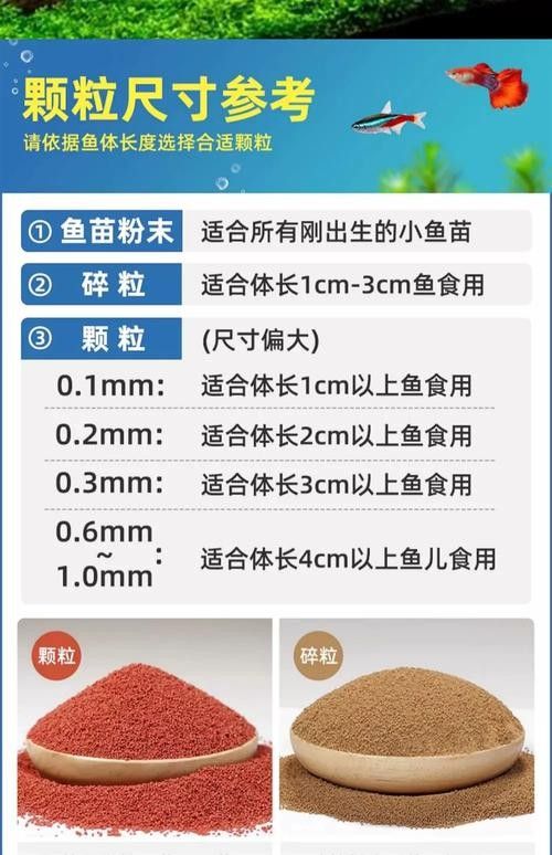 小龍魚(yú)吃什么飼料最好？（關(guān)于小龍魚(yú)最好吃什么飼料的一些建議龍魚(yú)吃什么最好） 小龍魚(yú)吃什么飼料最好？（關(guān)于小龍魚(yú)最好吃什么飼料的一些建議龍魚(yú)吃什么最好） 龍魚(yú)百科 第6張