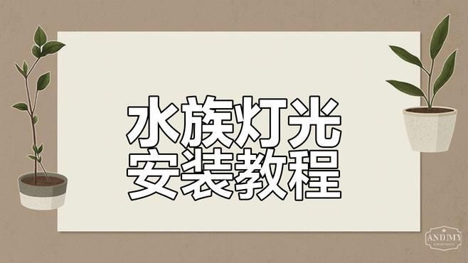 龍魚缸燈光擺放位置圖解（——龍魚燈光擺放位置圖解） 龍魚缸燈光擺放位置圖解（——龍魚燈光擺放位置圖解） 觀賞魚百科 第23張