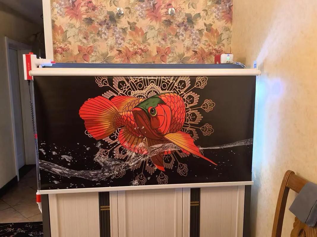 龍魚缸燈光擺放位置圖解(——龍魚燈光擺放位置圖解) 觀賞魚百科 第28張 龍魚缸燈光擺放位置圖解(——龍魚燈光擺放位置圖解) 龍魚缸燈光擺放位置圖解(——龍魚燈光擺放位置圖解) 觀賞魚百科 第28張