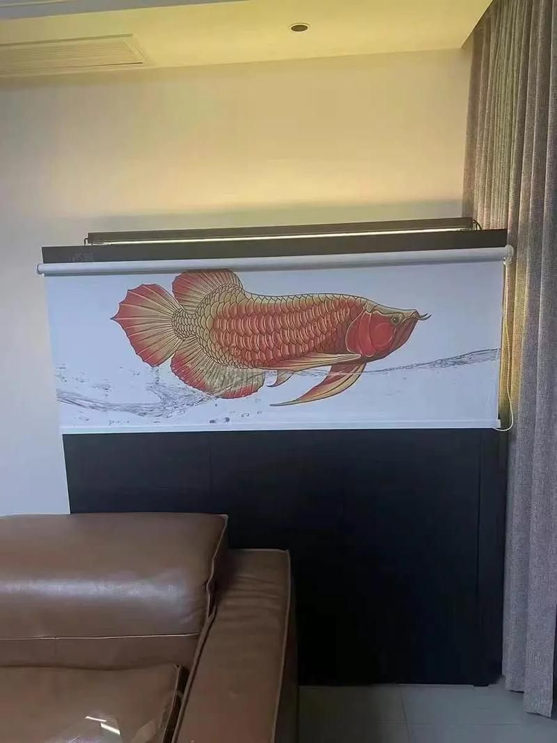 龍魚缸燈光擺放位置圖解(——龍魚燈光擺放位置圖解) 觀賞魚百科 第30張 龍魚缸燈光擺放位置圖解(——龍魚燈光擺放位置圖解) 龍魚缸燈光擺放位置圖解(——龍魚燈光擺放位置圖解) 觀賞魚百科 第30張