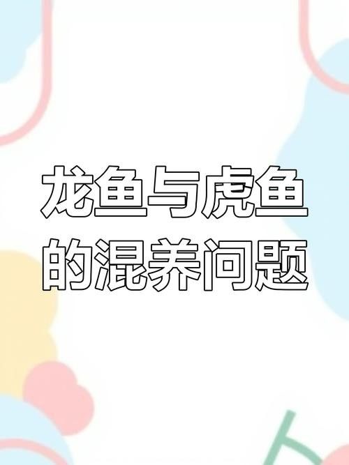 給我一些水虎魚和龍魚混養(yǎng)的圖片（水虎魚和龍魚混養(yǎng)）