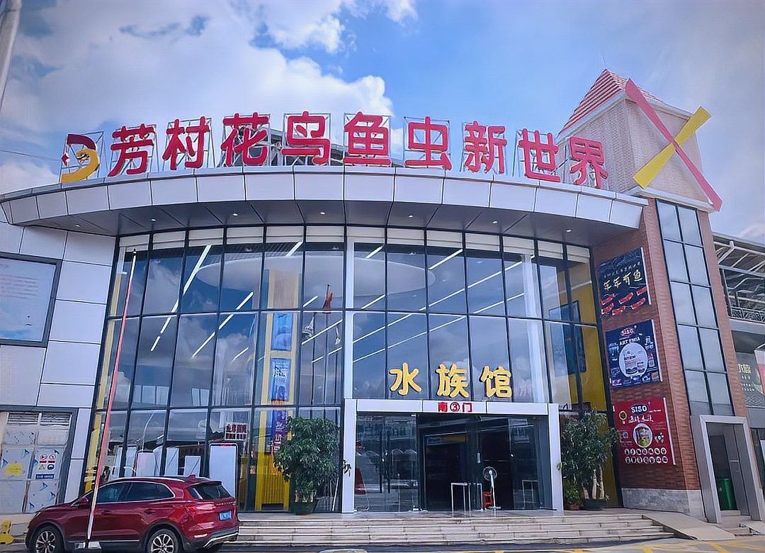 花地灣花鳥魚蟲市場新址在哪里（廣州芳村花鳥魚蟲市場新址位于廣州市天河區或番禺附近）
