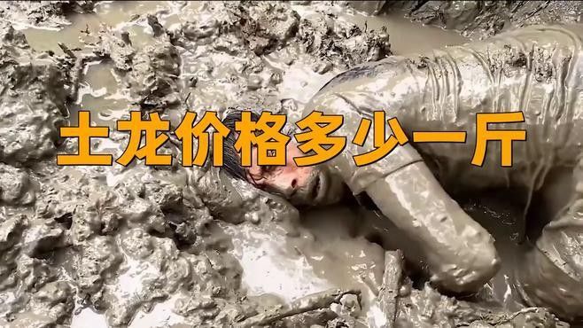 能否提供新魚趴缸恢復前后的對比圖，新魚趴缸后多久會恢復，能否提供新魚趴缸恢復前后的對比圖 能否提供新魚趴缸恢復前后的對比圖，新魚趴缸后多久會恢復，能否提供新魚趴缸恢復前后的對比圖 龍魚百科 第2張