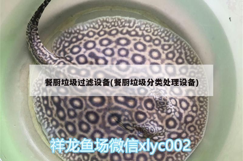 餐廚垃圾過濾設備(餐廚垃圾分類處理設備)（大型餐廚垃圾處理設備） 餐廚垃圾過濾設備(餐廚垃圾分類處理設備)（大型餐廚垃圾處理設備） 觀賞魚百科
