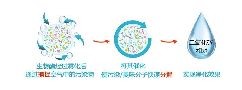 醋液復合處理法的效果如何