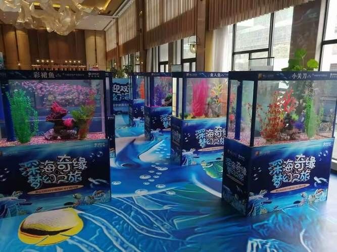 江陰市夏港龍魚水族館的營(yíng)業(yè)時(shí)間是（江陰市夏港龍魚水族館的營(yíng)業(yè)時(shí)間是多久？） 江陰市夏港龍魚水族館的營(yíng)業(yè)時(shí)間是（江陰市夏港龍魚水族館的營(yíng)業(yè)時(shí)間是多久？） 龍魚百科 第5張