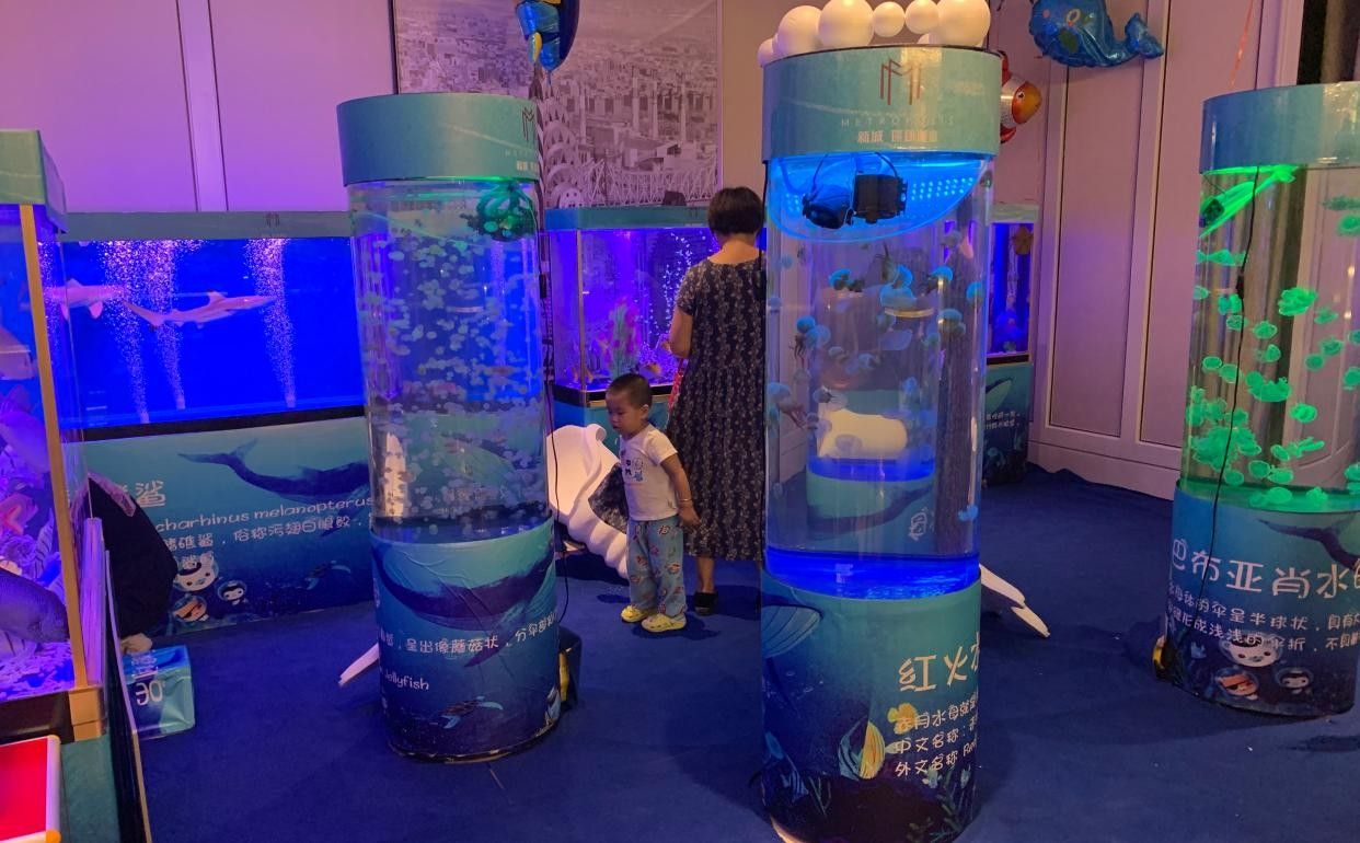 江陰市夏港龍魚水族館的營業(yè)時(shí)間是（江陰市夏港龍魚水族館的營業(yè)時(shí)間是多久？）