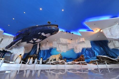 江陰市夏港龍魚水族館的營(yíng)業(yè)時(shí)間是（江陰市夏港龍魚水族館的營(yíng)業(yè)時(shí)間是多久？） 江陰市夏港龍魚水族館的營(yíng)業(yè)時(shí)間是（江陰市夏港龍魚水族館的營(yíng)業(yè)時(shí)間是多久？） 龍魚百科 第6張