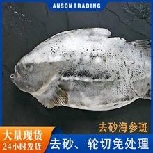 斑紋龍魚的具體市場價格是多少