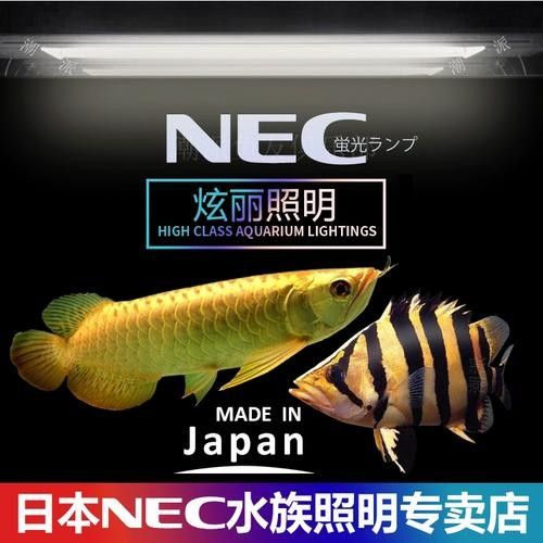 金龍魚燈管的價格是多少？（金龍魚專用燈管的價格是多少？）