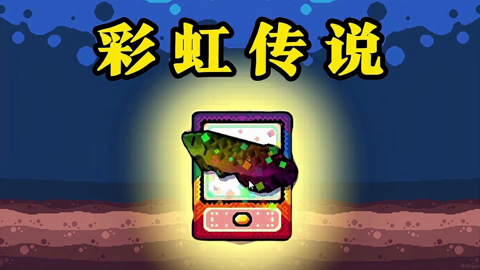 金龍魚魚苗的養護注意事項有哪些（金龍魚魚苗養護注意事項）