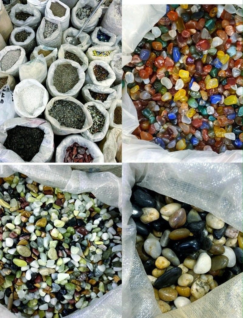 哪些龍魚品種可以和銀板魚混養(yǎng)（適合與銀板魚混養(yǎng)的龍魚品種） 哪些龍魚品種可以和銀板魚混養(yǎng)（適合與銀板魚混養(yǎng)的龍魚品種） 龍魚百科 第1張