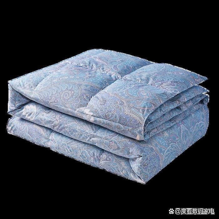 京東定制款有哪些品牌？（京東定制品牌排行榜京東服飾自營品牌排行榜京東diy定制t恤品牌排行榜） 京東定制款有哪些品牌？（京東定制品牌排行榜京東服飾自營品牌排行榜京東diy定制t恤品牌排行榜） 龍魚百科 第8張