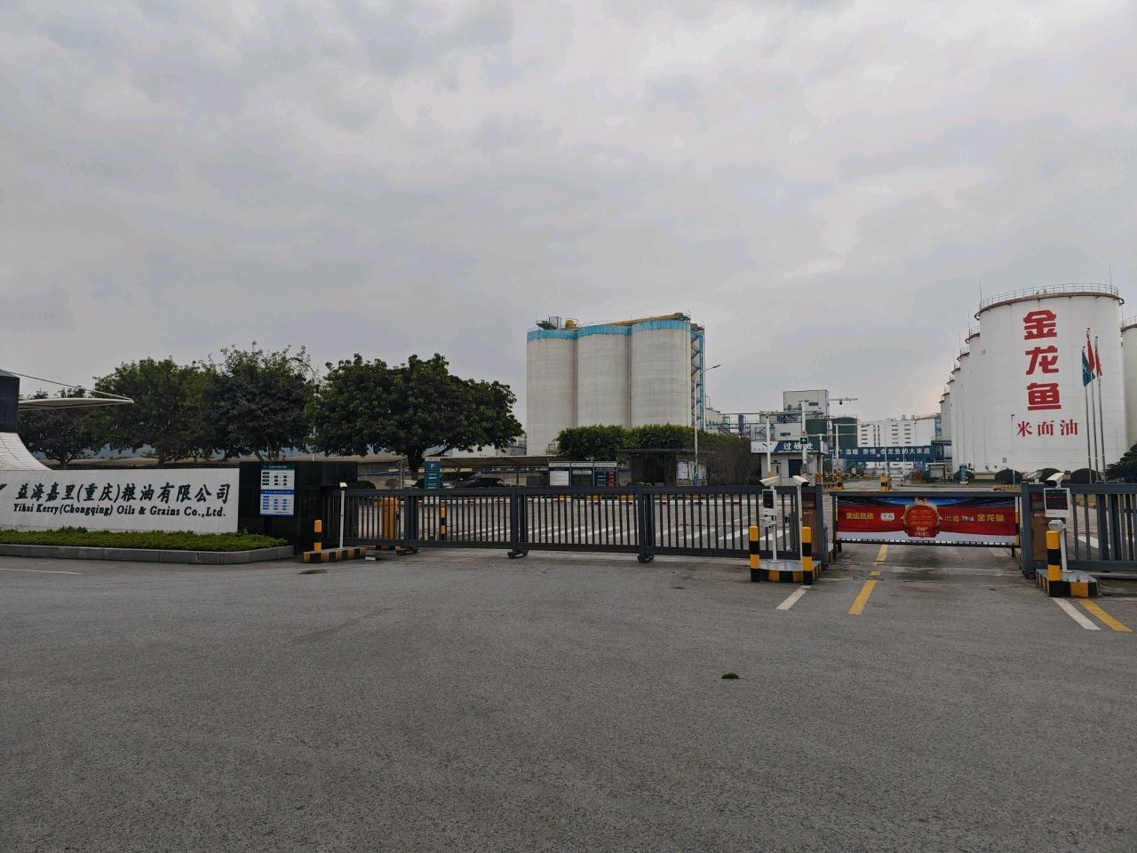 金龍魚重慶工廠地址（金龍魚重慶工廠的聯(lián)系方式是什么金龍魚重慶工廠的主要產(chǎn)品有哪些）
