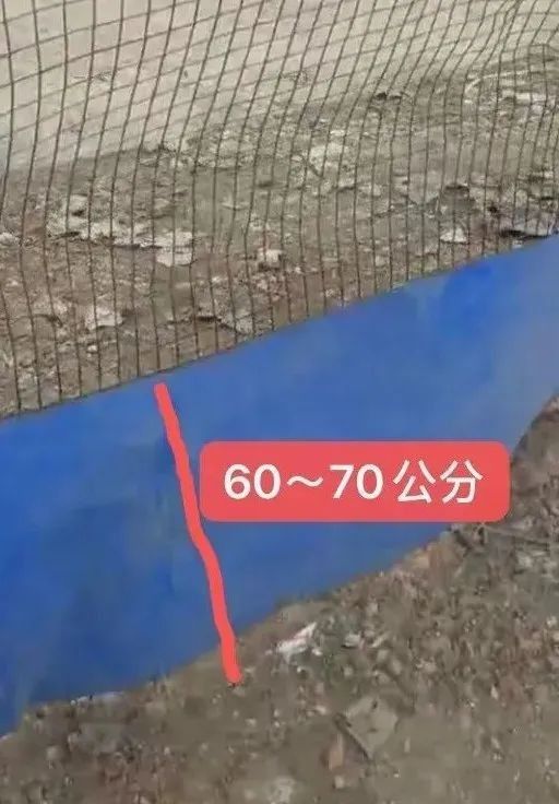 哪種混養方案最成功（關于魚鱉混養的一些建議） 哪種混養方案最成功（關于魚鱉混養的一些建議） 龍魚百科 第3張