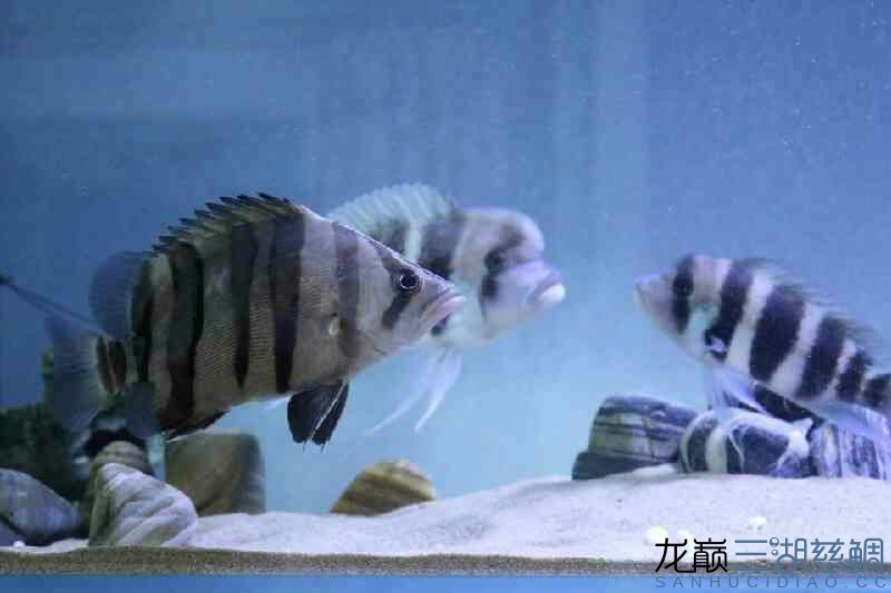 求點評