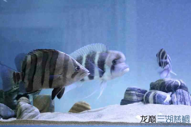 求點評