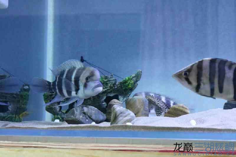 求點評