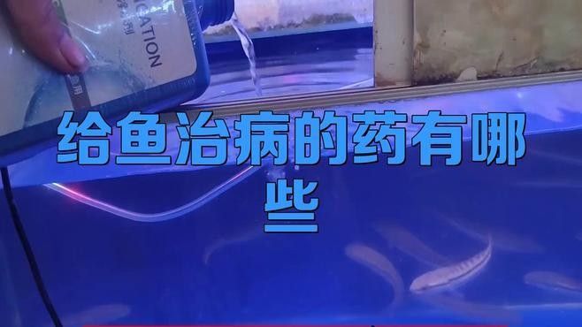 哪種龍魚抗菌藥效果最好？（魚抗菌藥的選擇取決于多種因素）