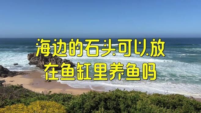 如何給魚缸石頭消毒？（如何給魚缸石頭消毒）