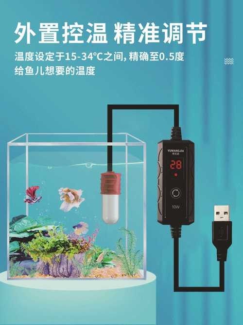 匯龍魚缸加熱器如何選擇（大鵬玩咖測評局：匯龍魚缸加熱器如何選擇合適的加熱器） 匯龍魚缸加熱器如何選擇（大鵬玩咖測評局：匯龍魚缸加熱器如何選擇合適的加熱器） 龍魚百科 第4張