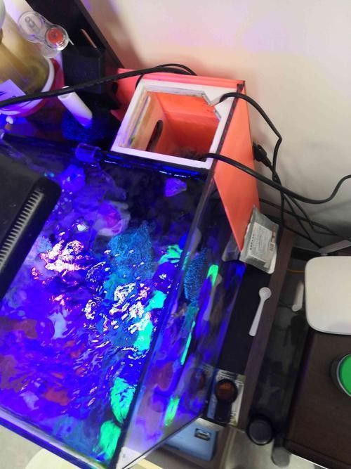 匯龍魚缸加熱器如何選擇（大鵬玩咖測評局：匯龍魚缸加熱器如何選擇合適的加熱器） 匯龍魚缸加熱器如何選擇（大鵬玩咖測評局：匯龍魚缸加熱器如何選擇合適的加熱器） 龍魚百科 第6張