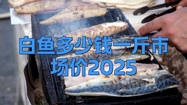 白龍魚的價格波動大嗎（白龍魚價格波動受多重因素影響白龍魚價格波動受多重因素影響）