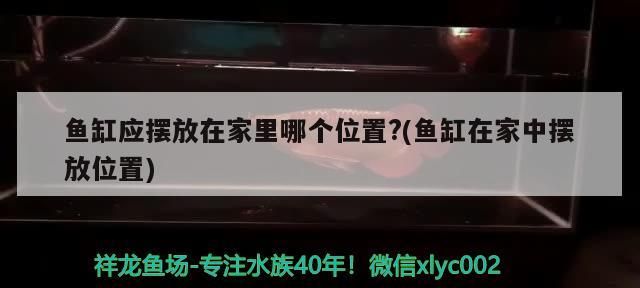 魚缸應擺放在家里哪個位置?(魚缸在家中擺放位置)（魚缸擺放在什么位置好）