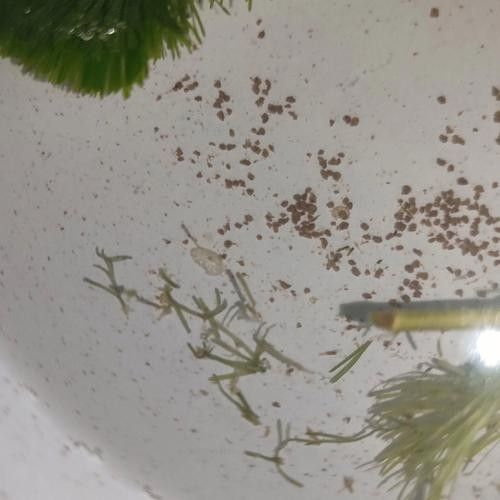 如何與隊友溝通配合（團隊協作中有效的溝通策略）